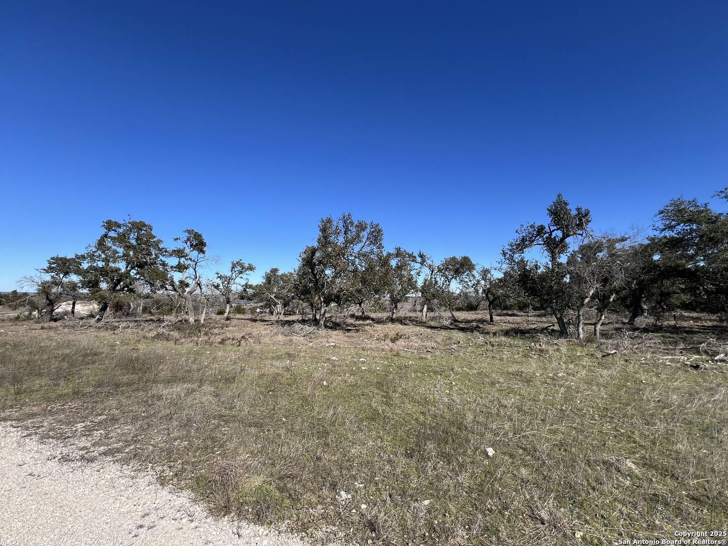 Blanco, TX 78606,LOT 139 Falling Oak Dr