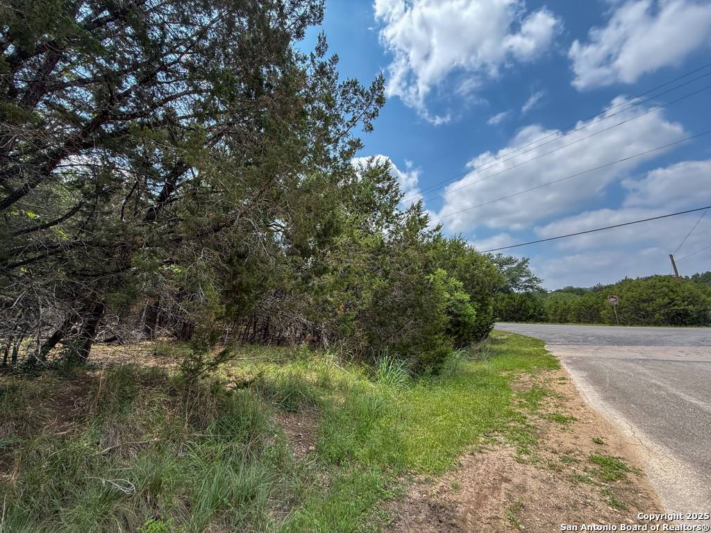Canyon Lake, TX 78133,LOT 1 Watts Lane