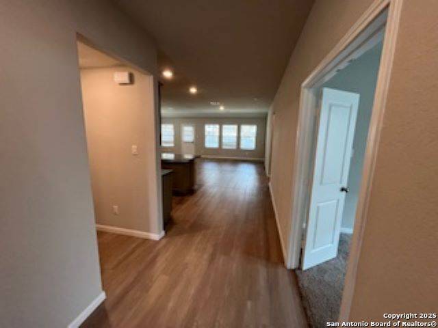 Bulverde, TX 78163,32132 Morels