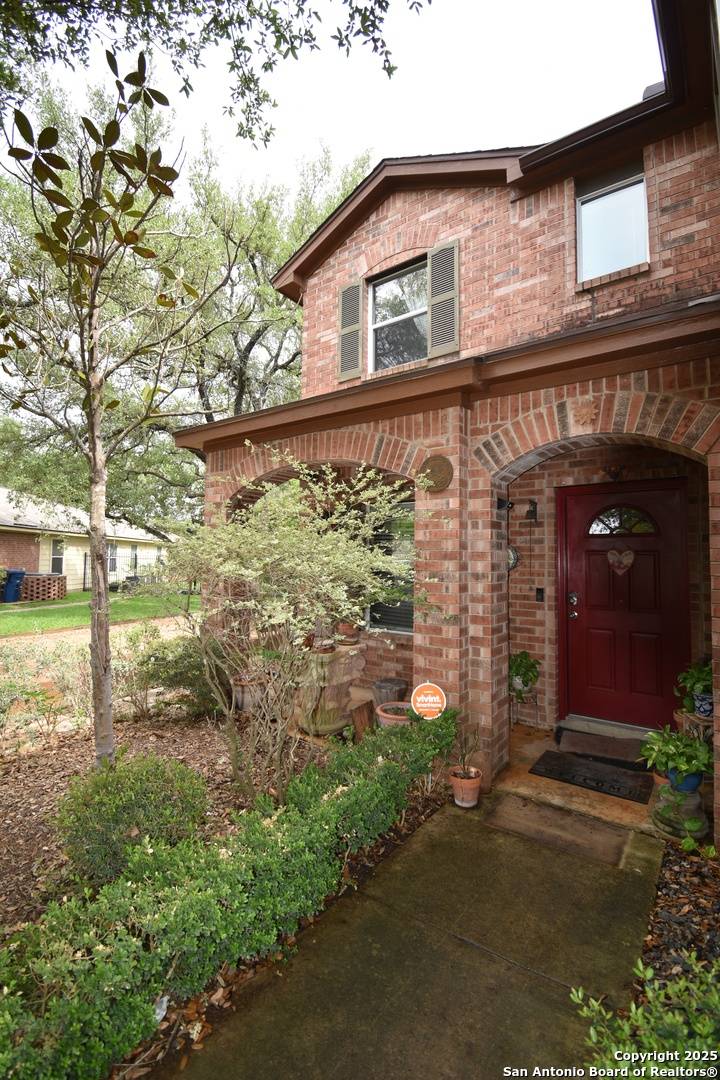 San Antonio, TX 78259,4030 Alpine Aster
