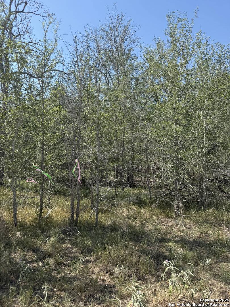 Sutherland Springs, TX 78161,421 Kerr Ave