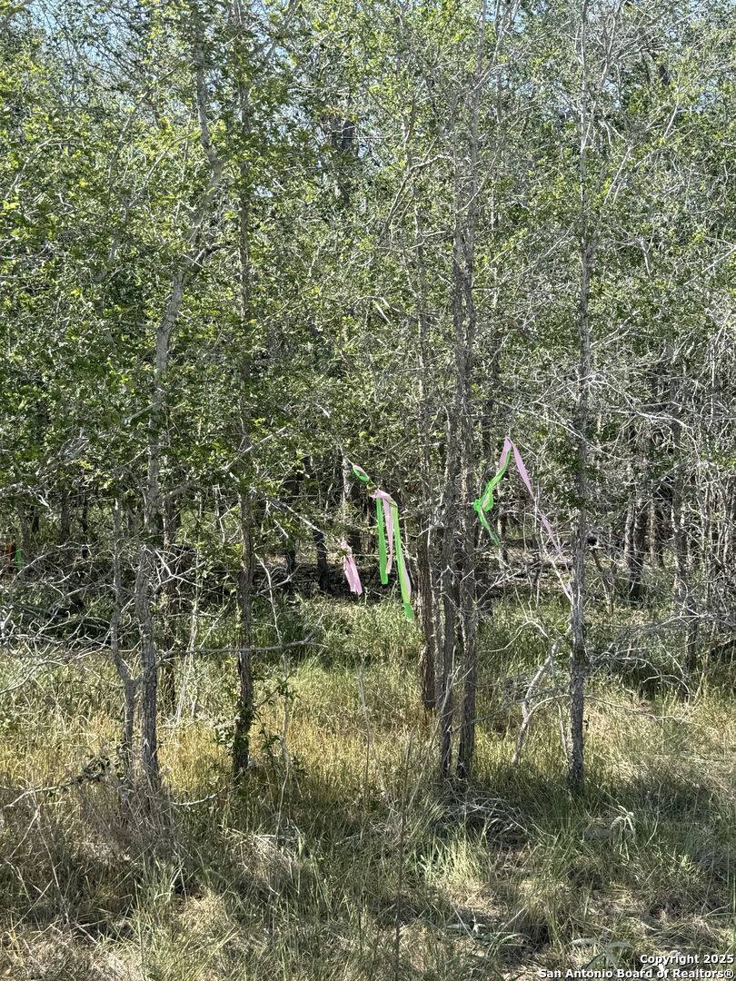 Sutherland Springs, TX 78161,421 Kerr Ave