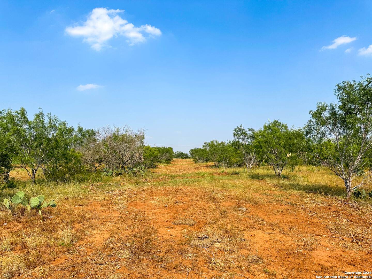 Pleasanton, TX 78064,000 County Road 429