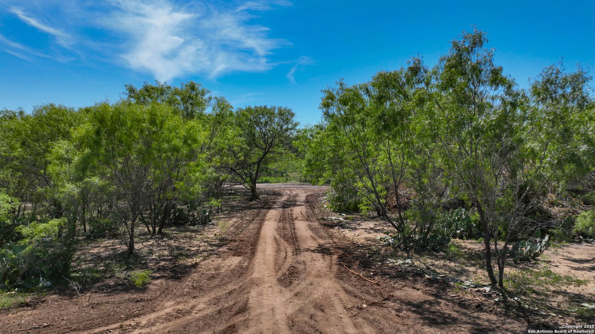 Atascosa, TX 78002,13704 Ladd Rd