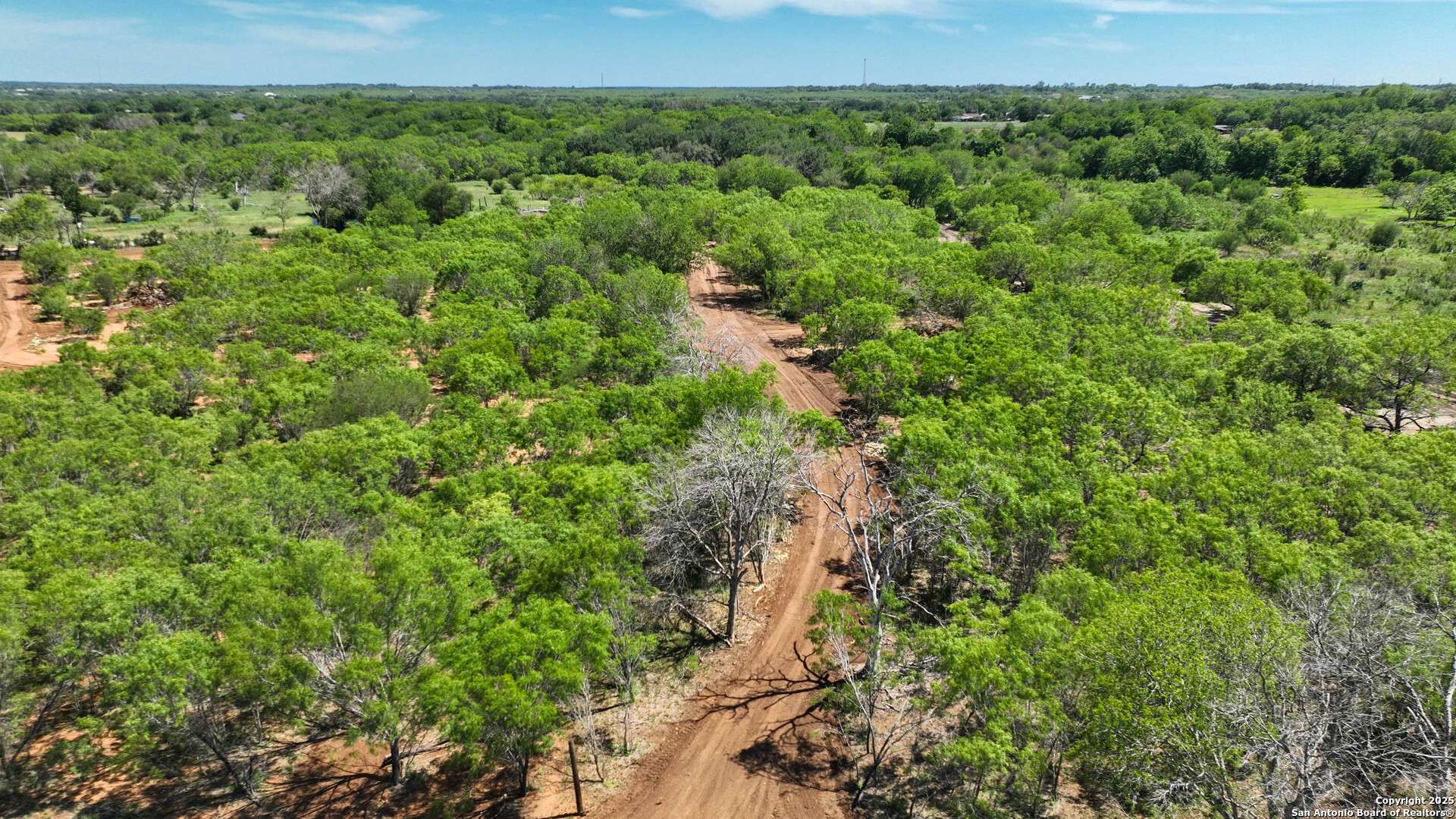 Atascosa, TX 78002,13704 Ladd Rd