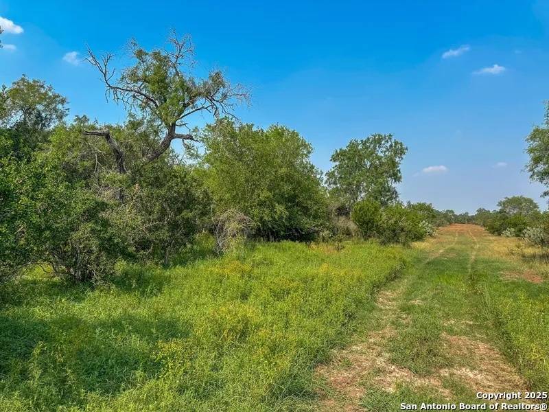 Pleasanton, TX 78064,1294 CR 429