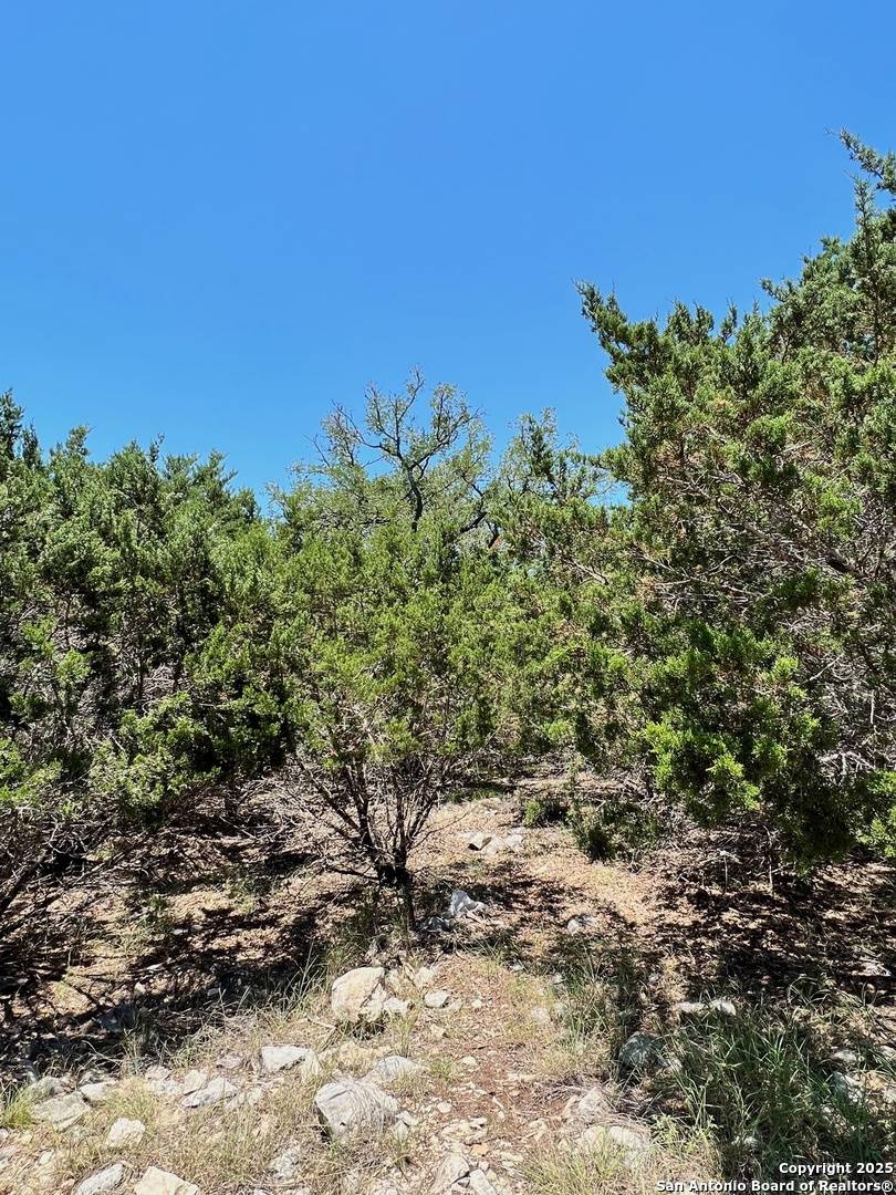 Boerne, TX 78015,551 Ranch Vly