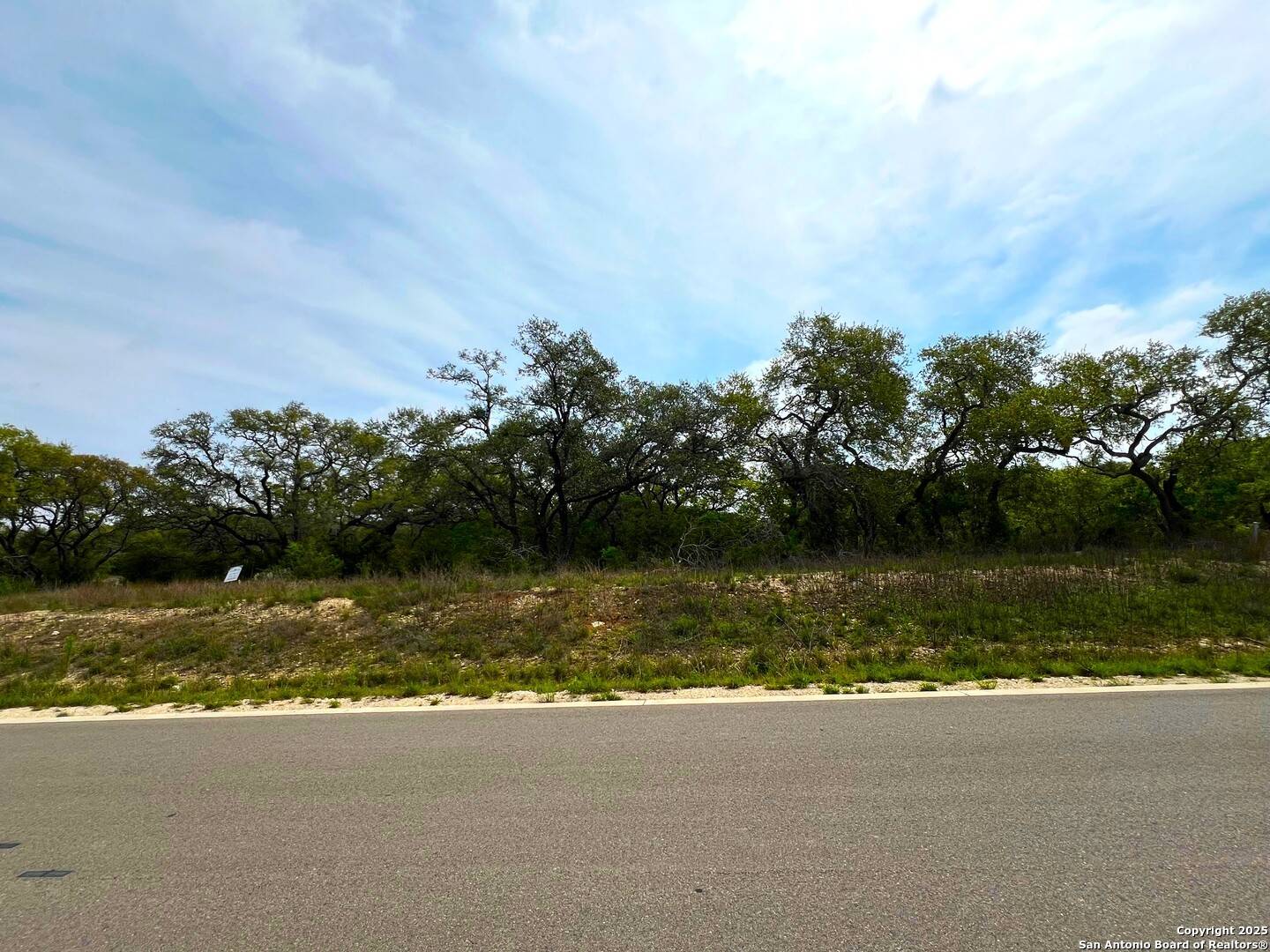Bulverde, TX 78163,34676 Ansley Ridge Trl