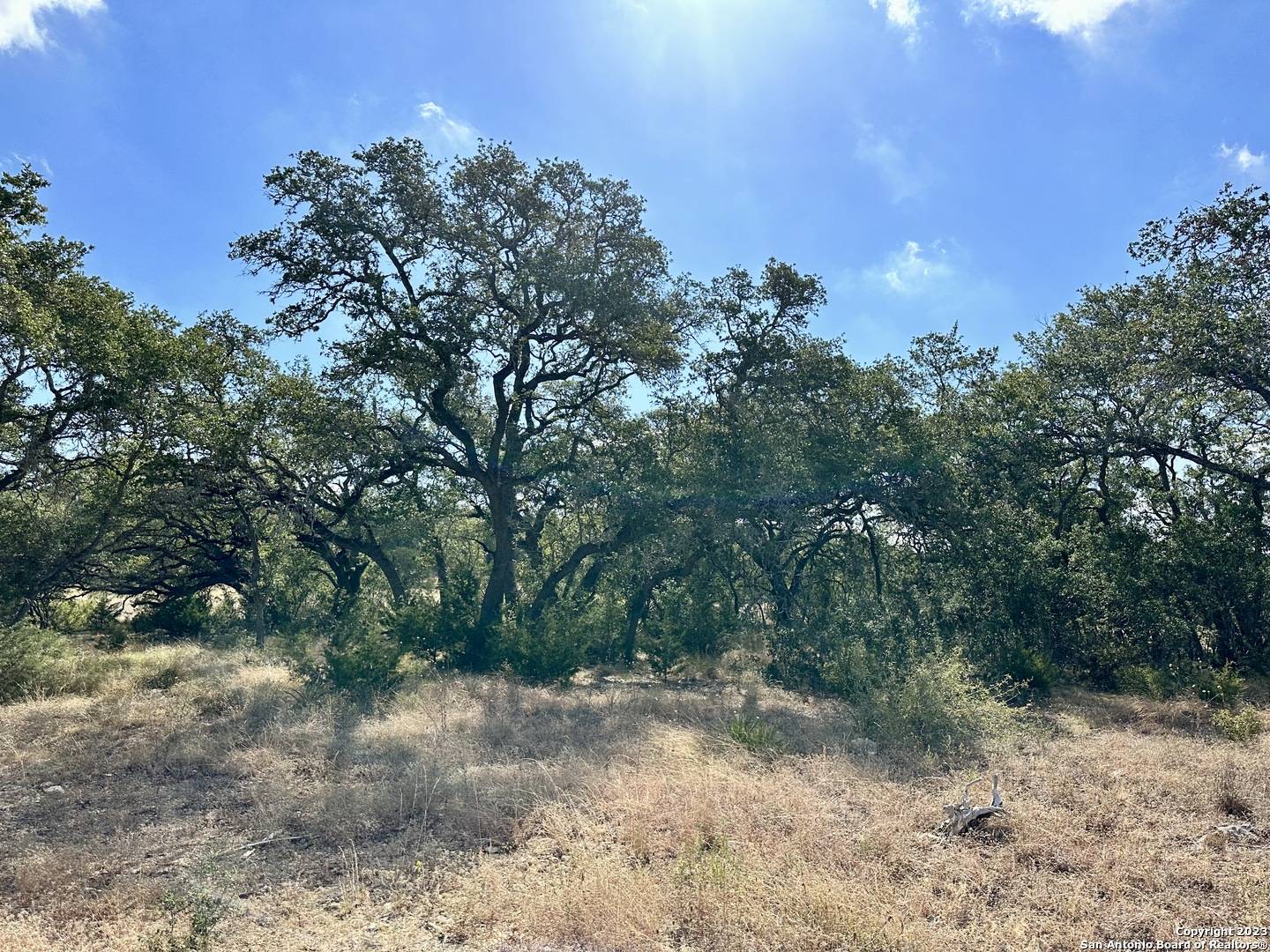 Bulverde, TX 78163,34676 Ansley Ridge Trl