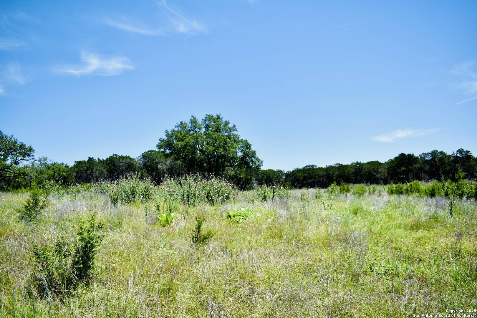 Bandera, TX 78003,LOT 53 Clearwater Canyon Rd