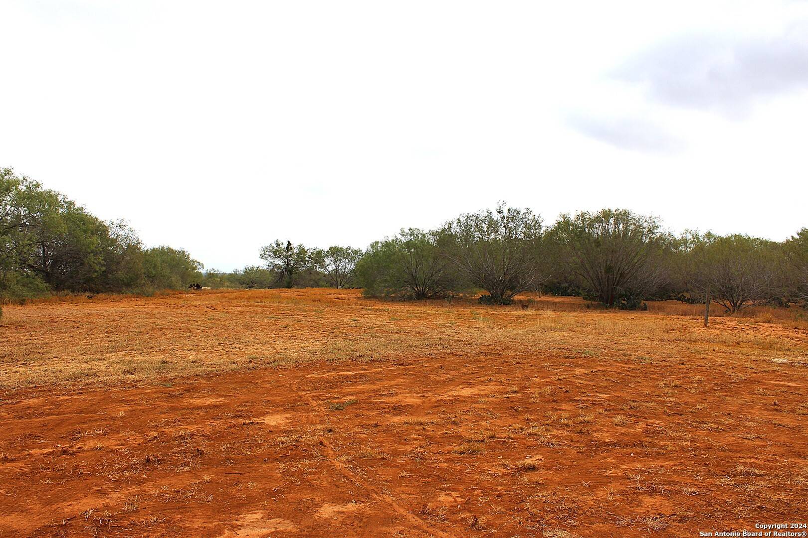Charlotte, TX 78011,2745 County Road 314