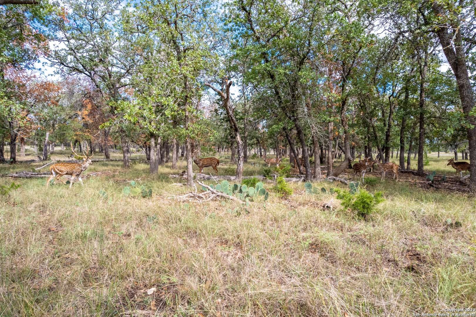 Medina, TX 78055-3754,455 HUBBLE LN