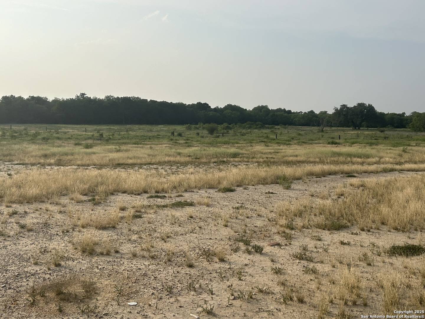 Natalia, TX 78059,1379 County Road 772