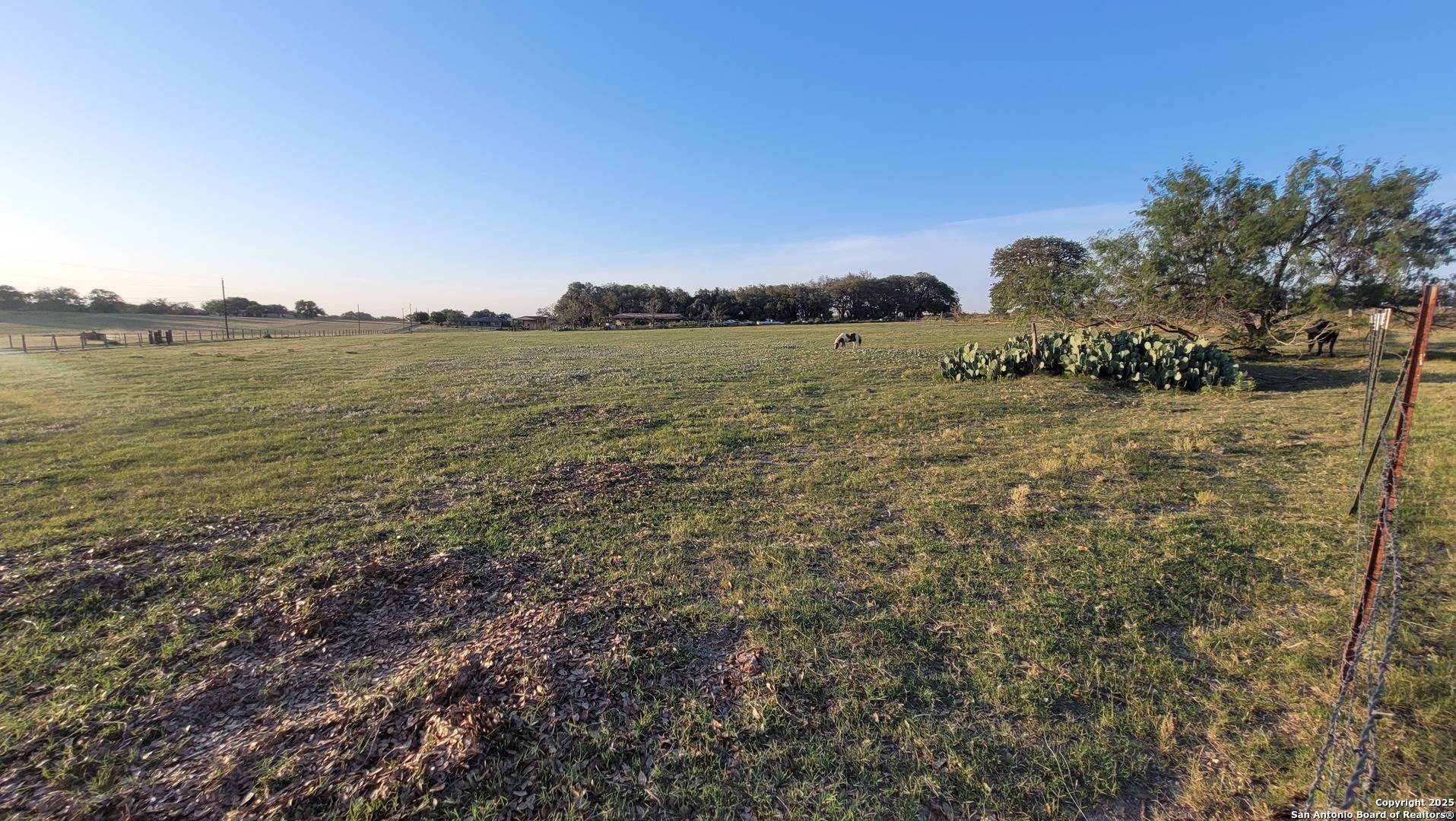 Adkins, TX 78101,1897 County Road 326