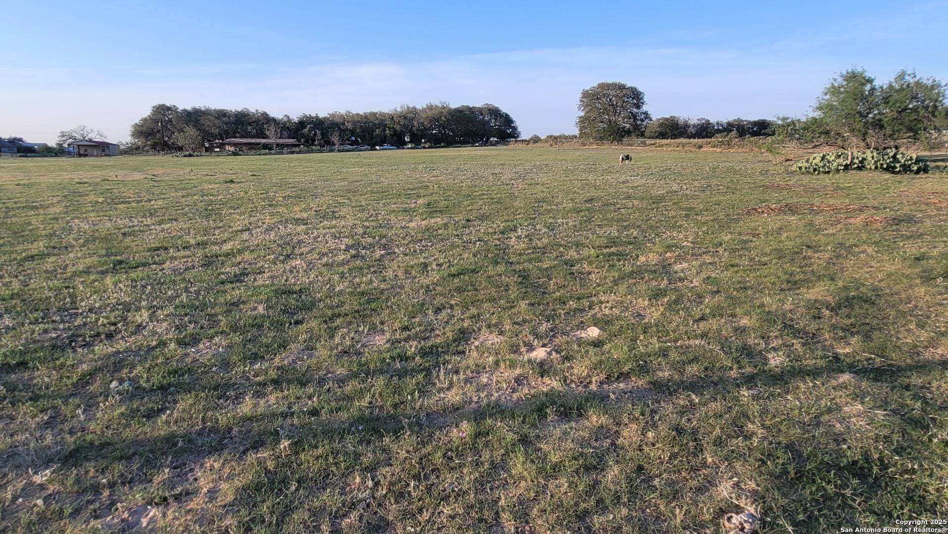 Adkins, TX 78101,1897 County Road 326