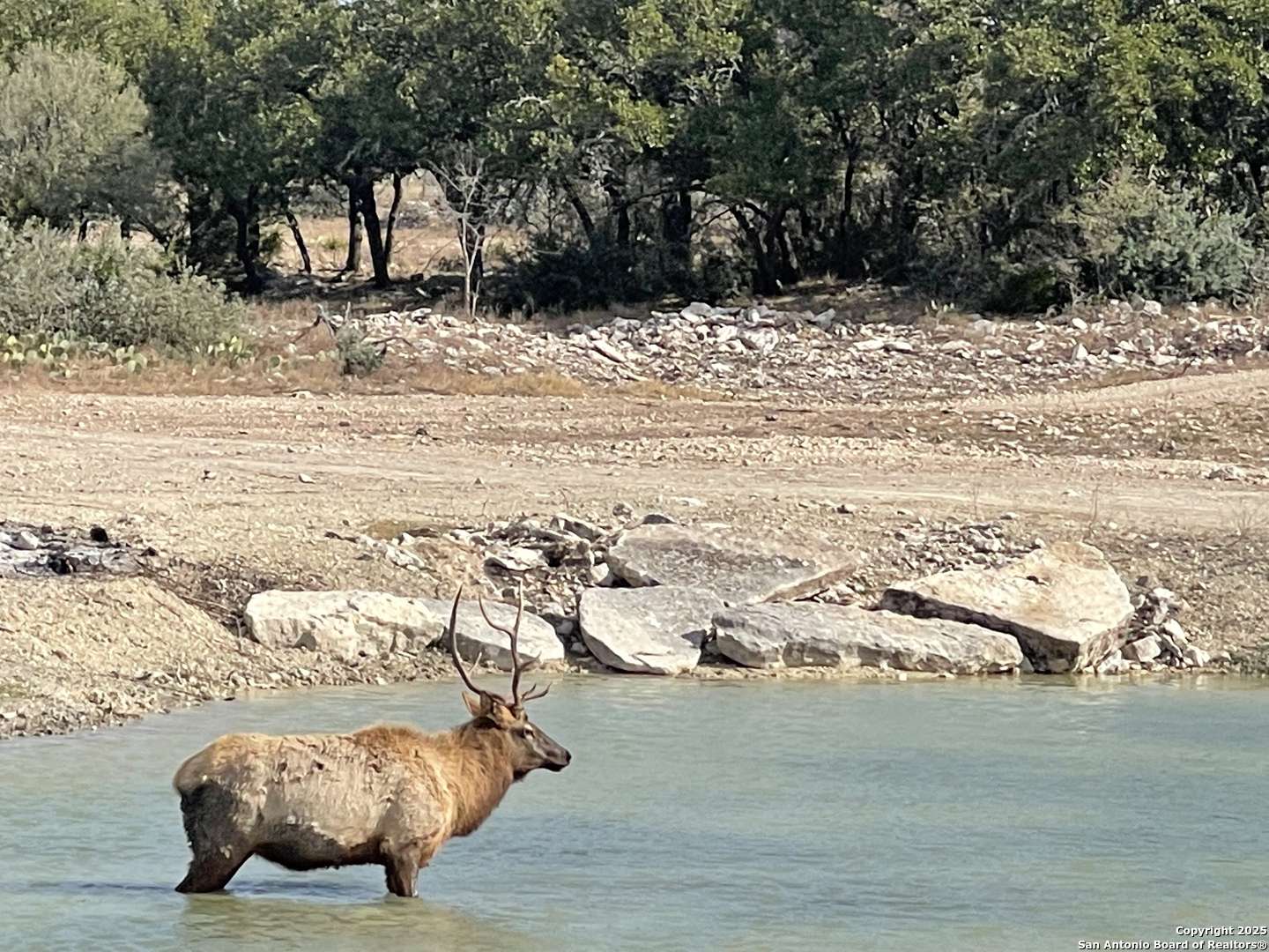 Rocksprings, TX 78880,988 Sd 71600