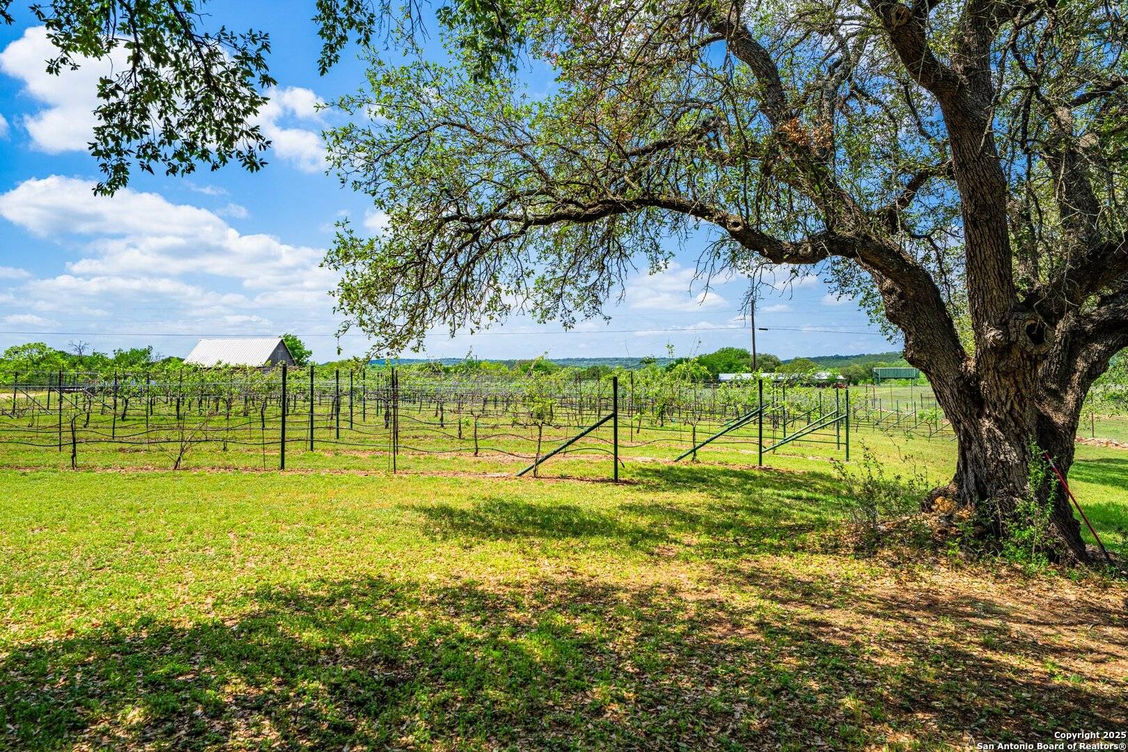 San Saba, TX 76877,1353 County Road 432