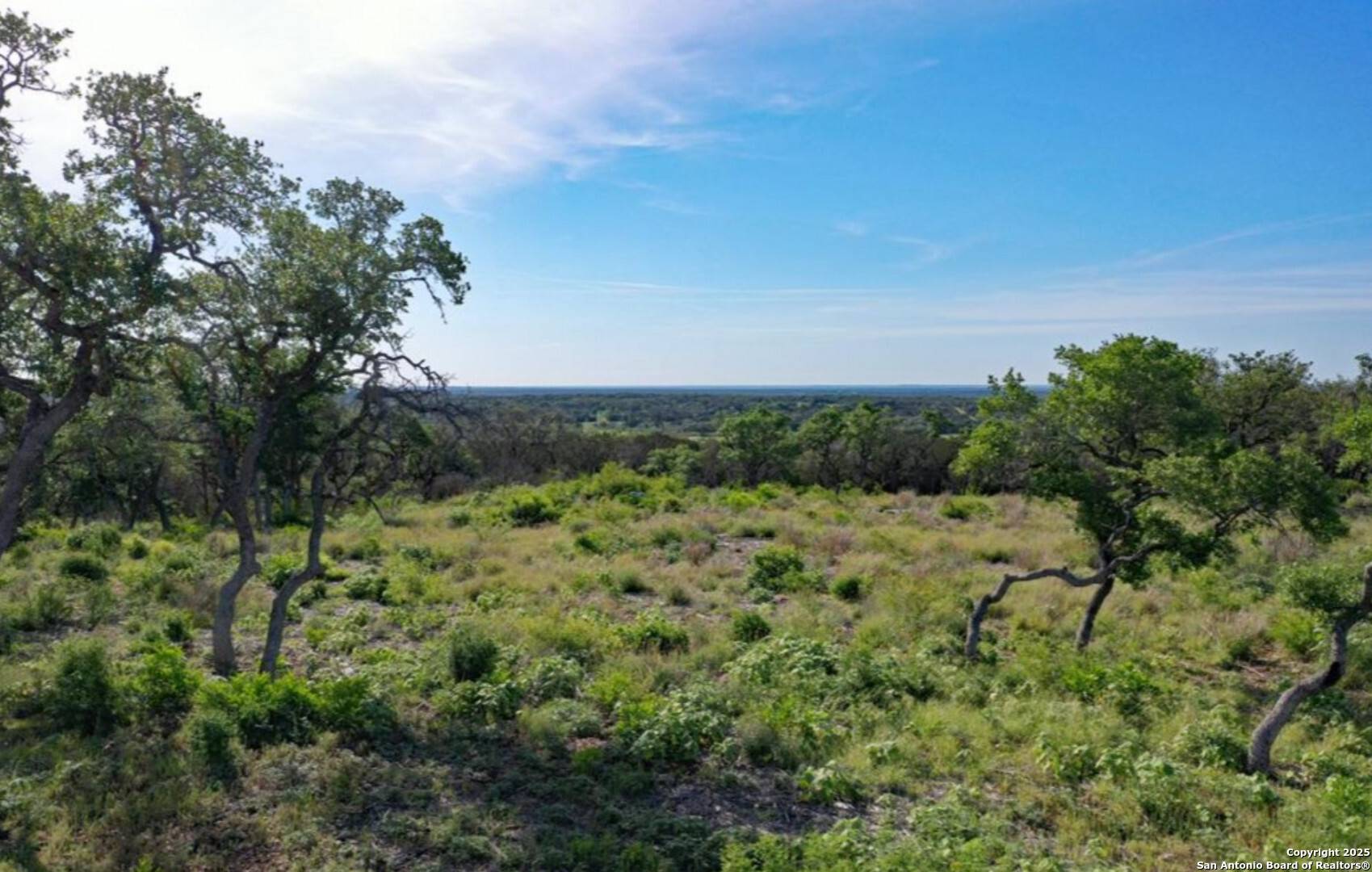 Hondo, TX 78861,LOT 194, Crescent Ridge