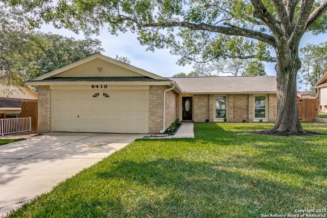 San Antonio, TX 78233,6419 ridge tree