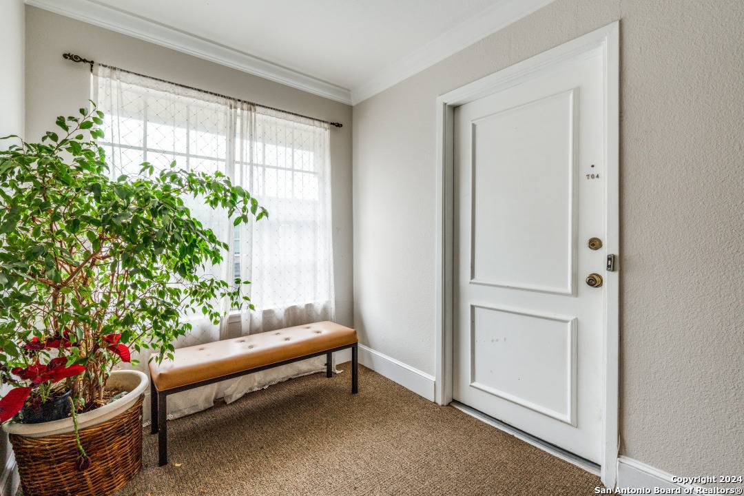 San Antonio, TX 78209,7834 Broadway UNIT 704