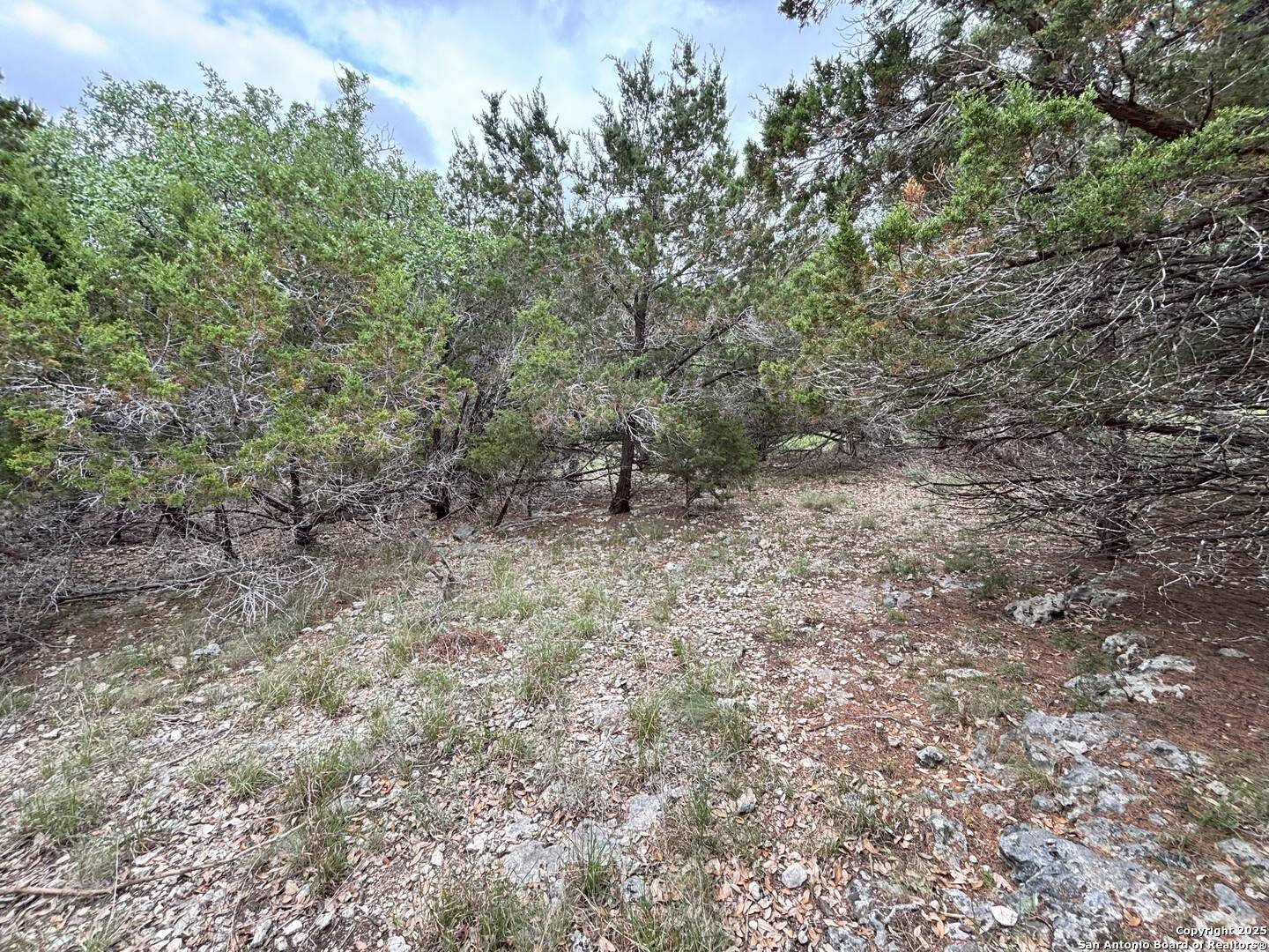 Fischer, TX 78623,1197 Spice Wood