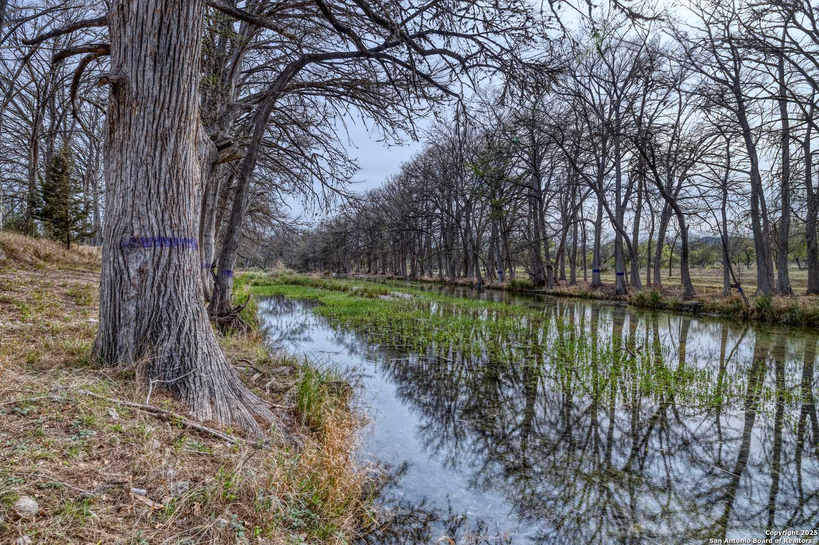 Rio Frio, TX 78879,0000 Whitetail Way