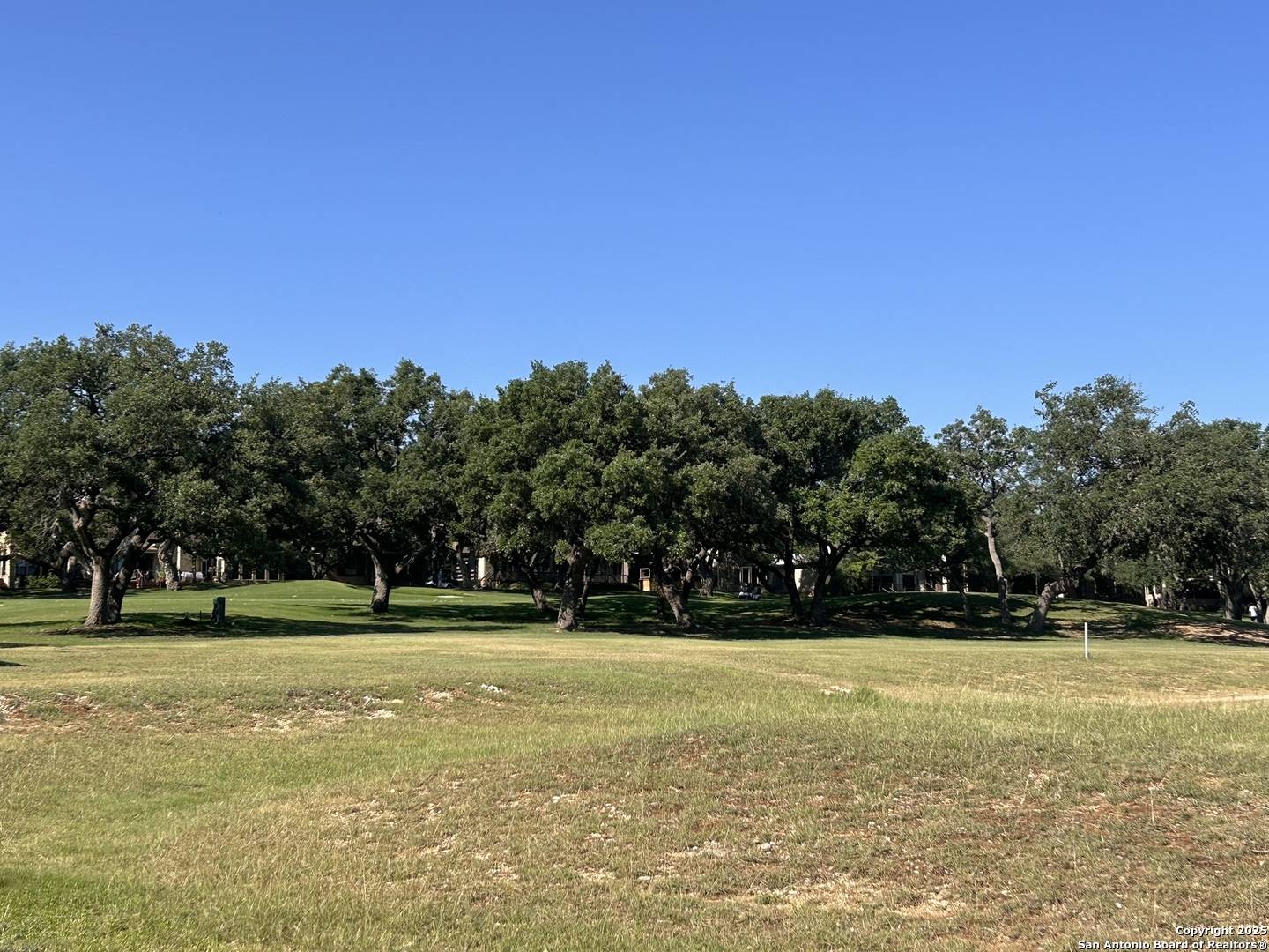 Fair Oaks Ranch, TX 78015,29431 Summit Ridge