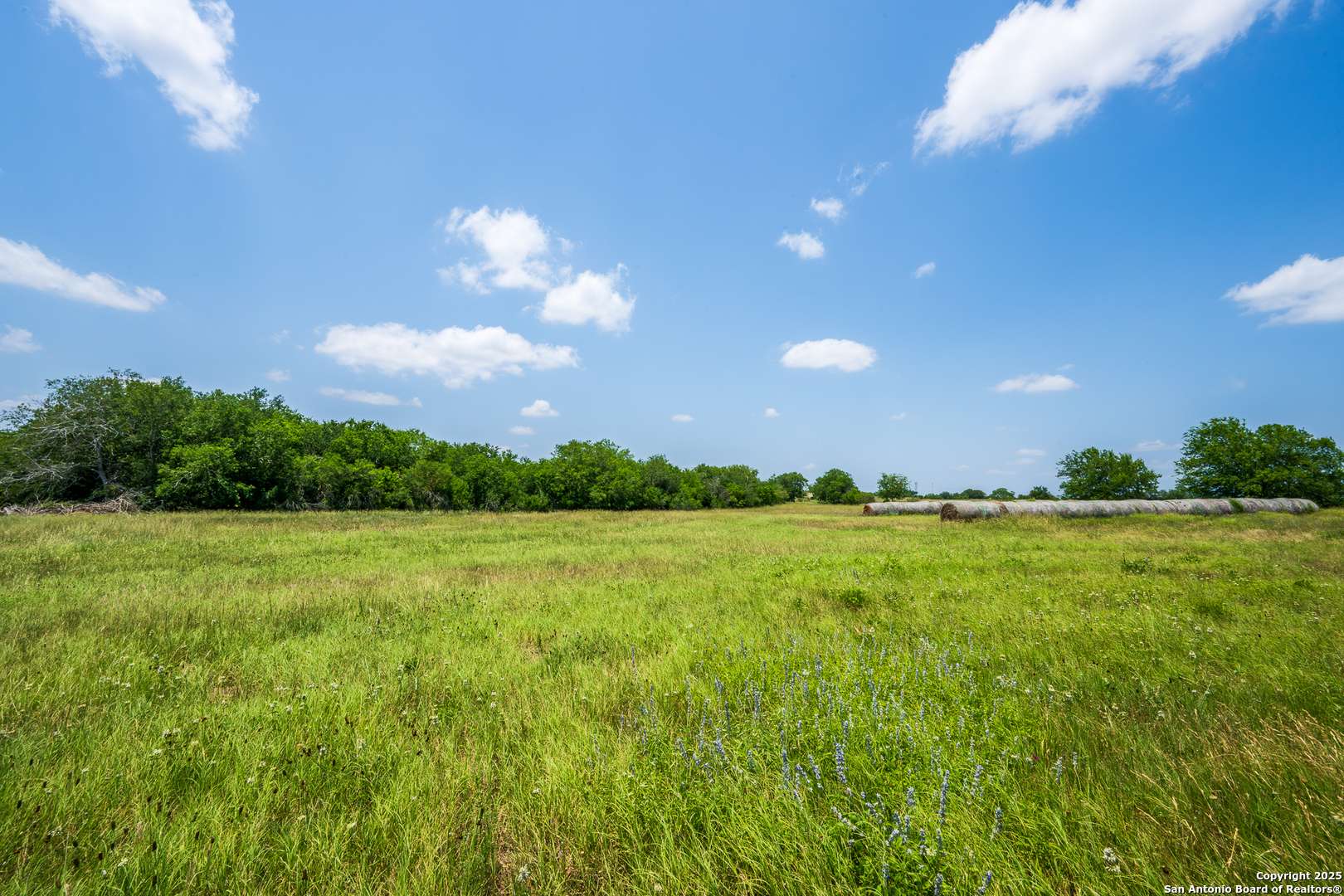 Kenedy, TX 78119,3407 Fm 743