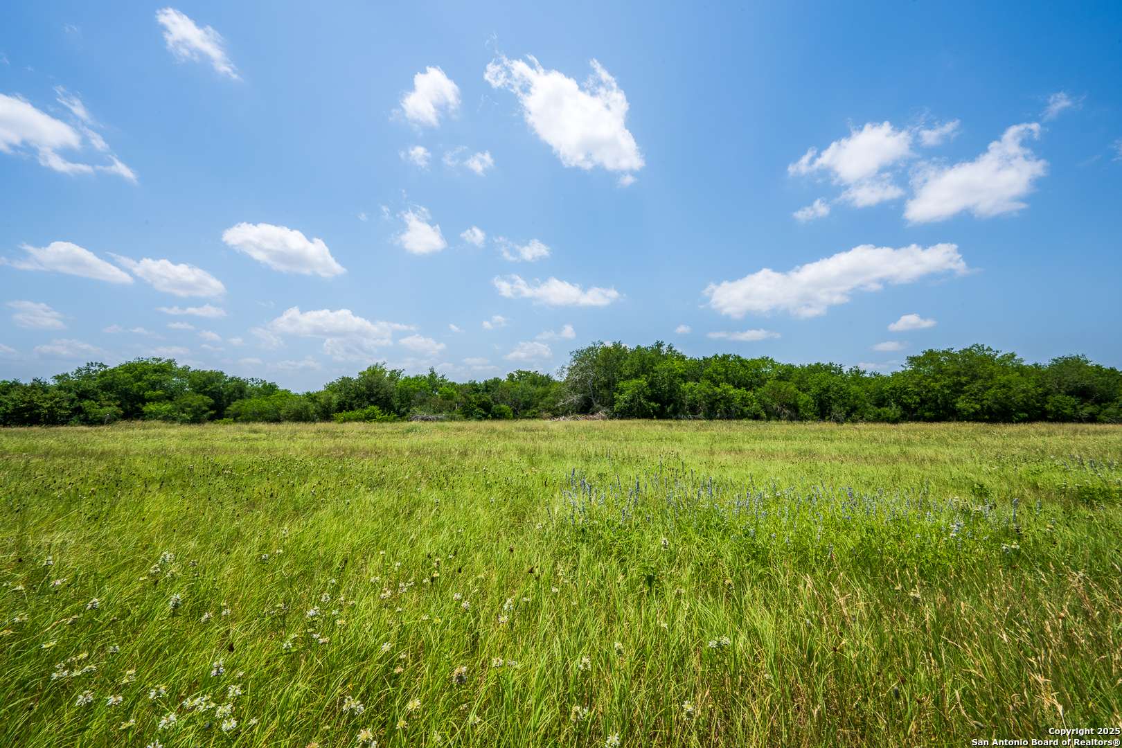 Kenedy, TX 78119,3407 Fm 743