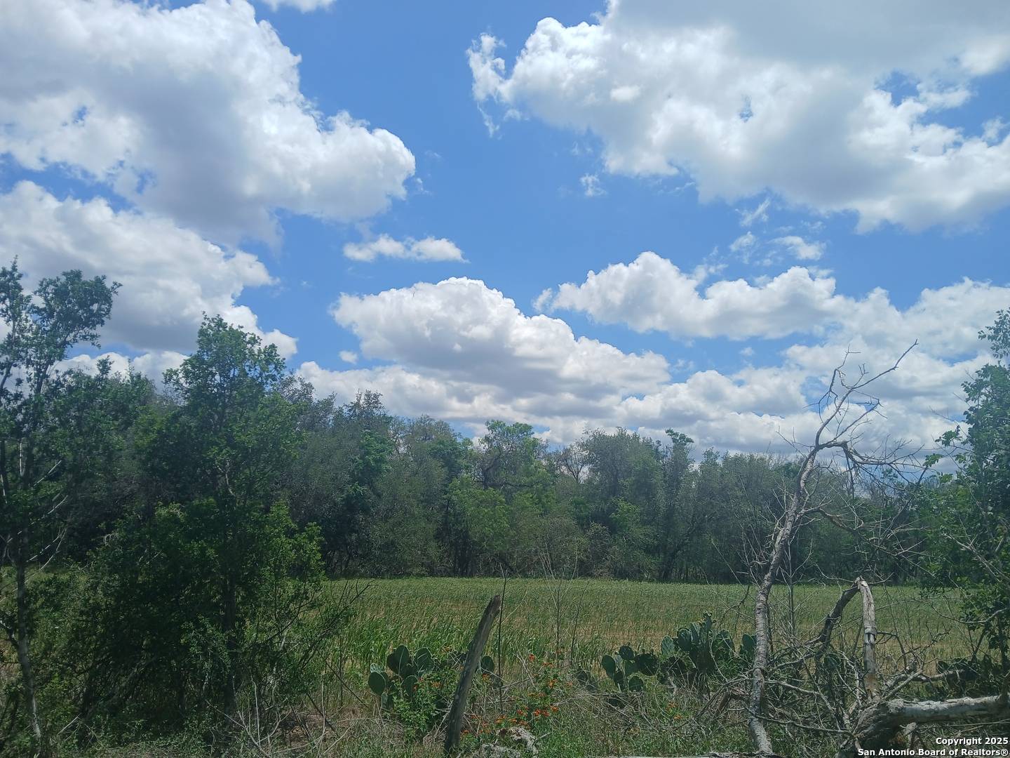 San Antonio, TX 78263,00 New Sulphur Springs