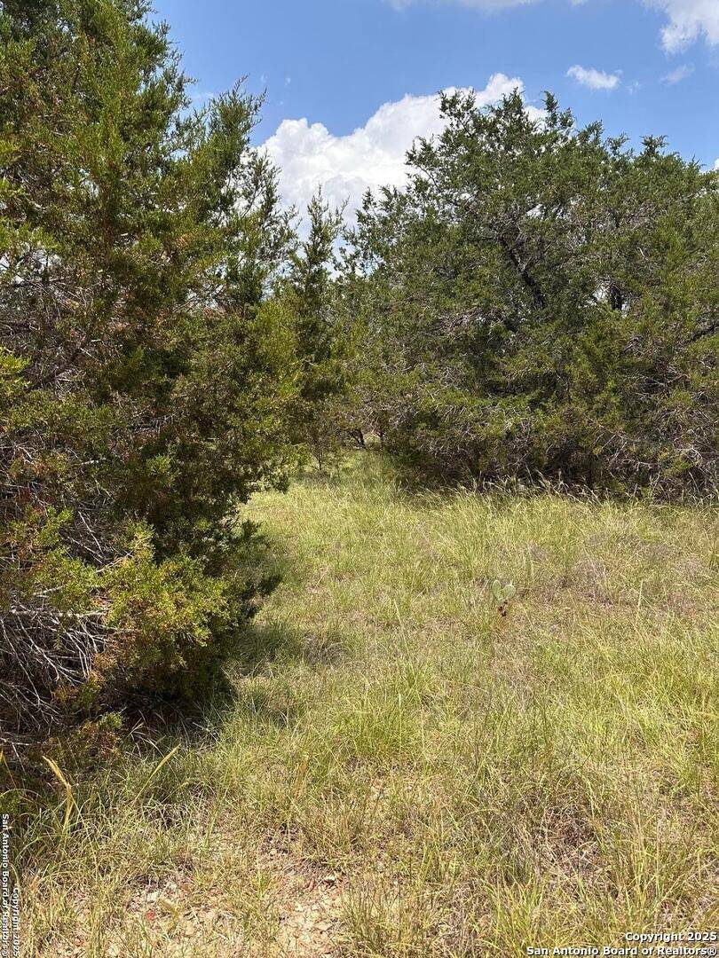 Spring Branch, TX 78070,811 Turkey Canyon