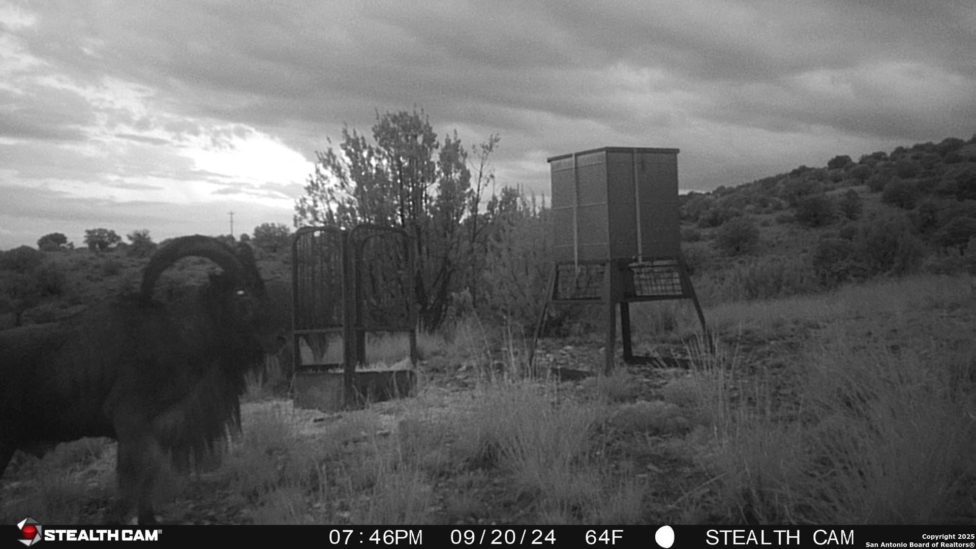 No City, NM 88351,241 dead mans canyon