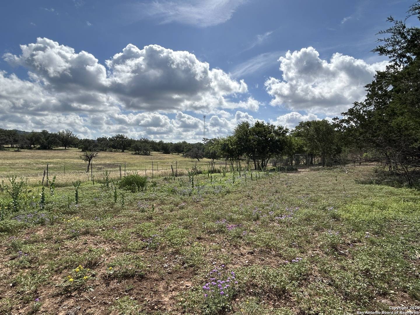 Medina, TX 78055,1619 Stringtown