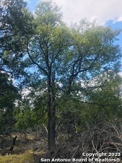 Pipe Creek, TX 78063,26 Mustang Crossing