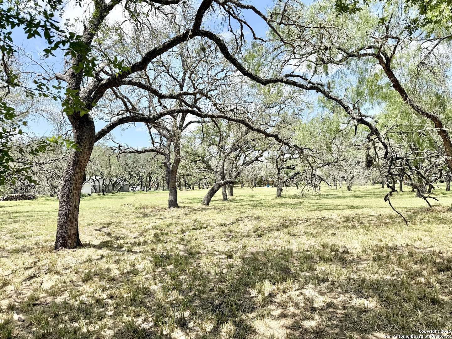 Pleasanton, TX 78064,LOT 53A Massad