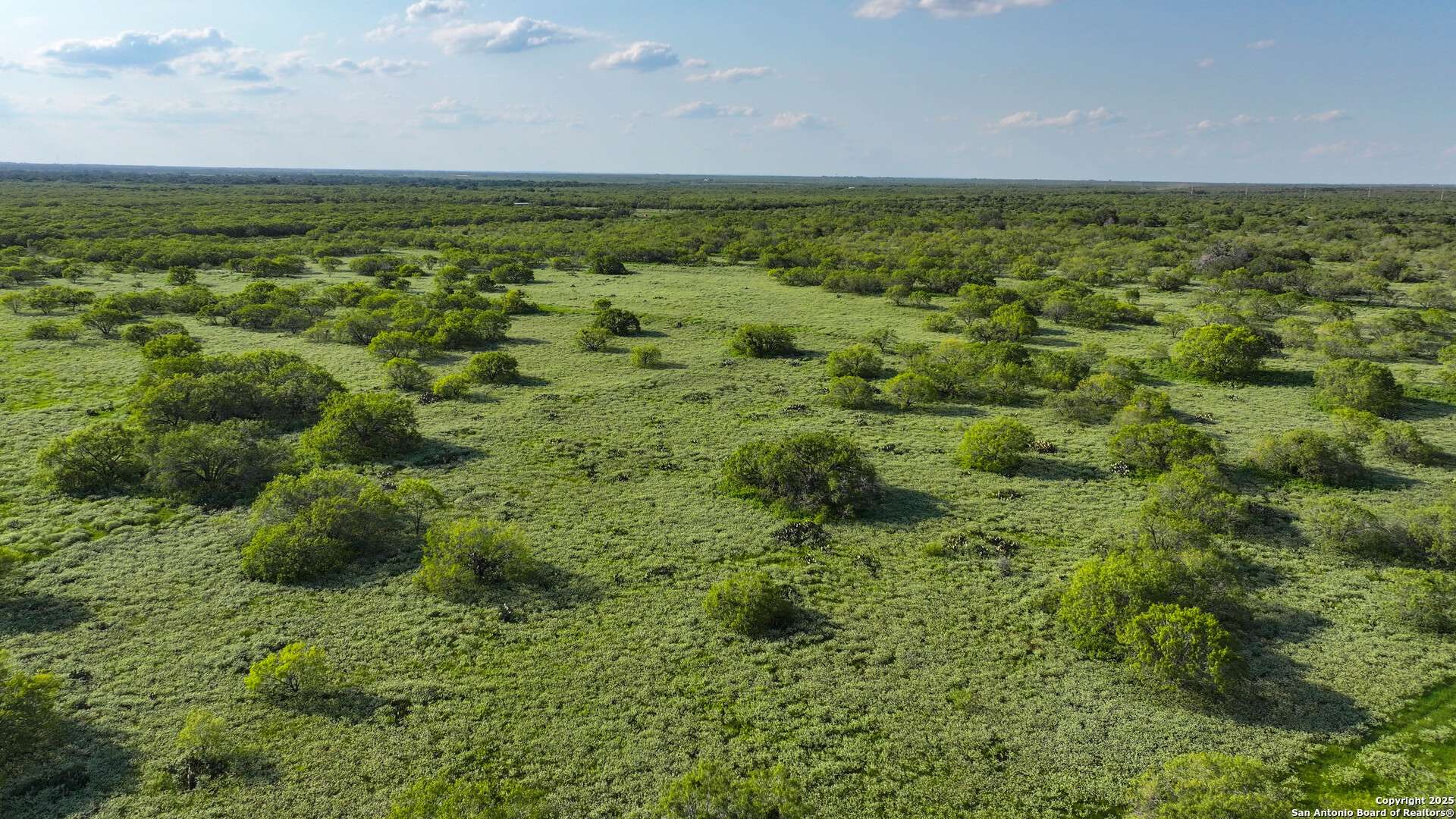 Pleasanton, TX 78064,000 Leal Road