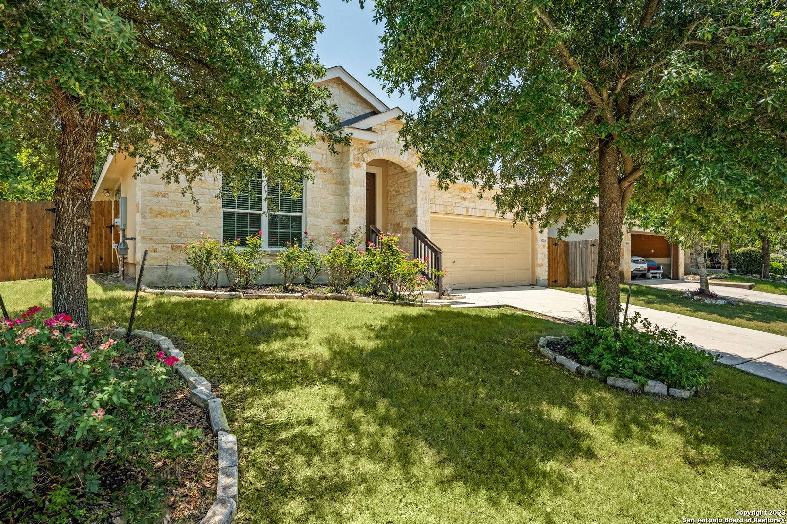 San Antonio, TX 78261,25814 Big Bluestem