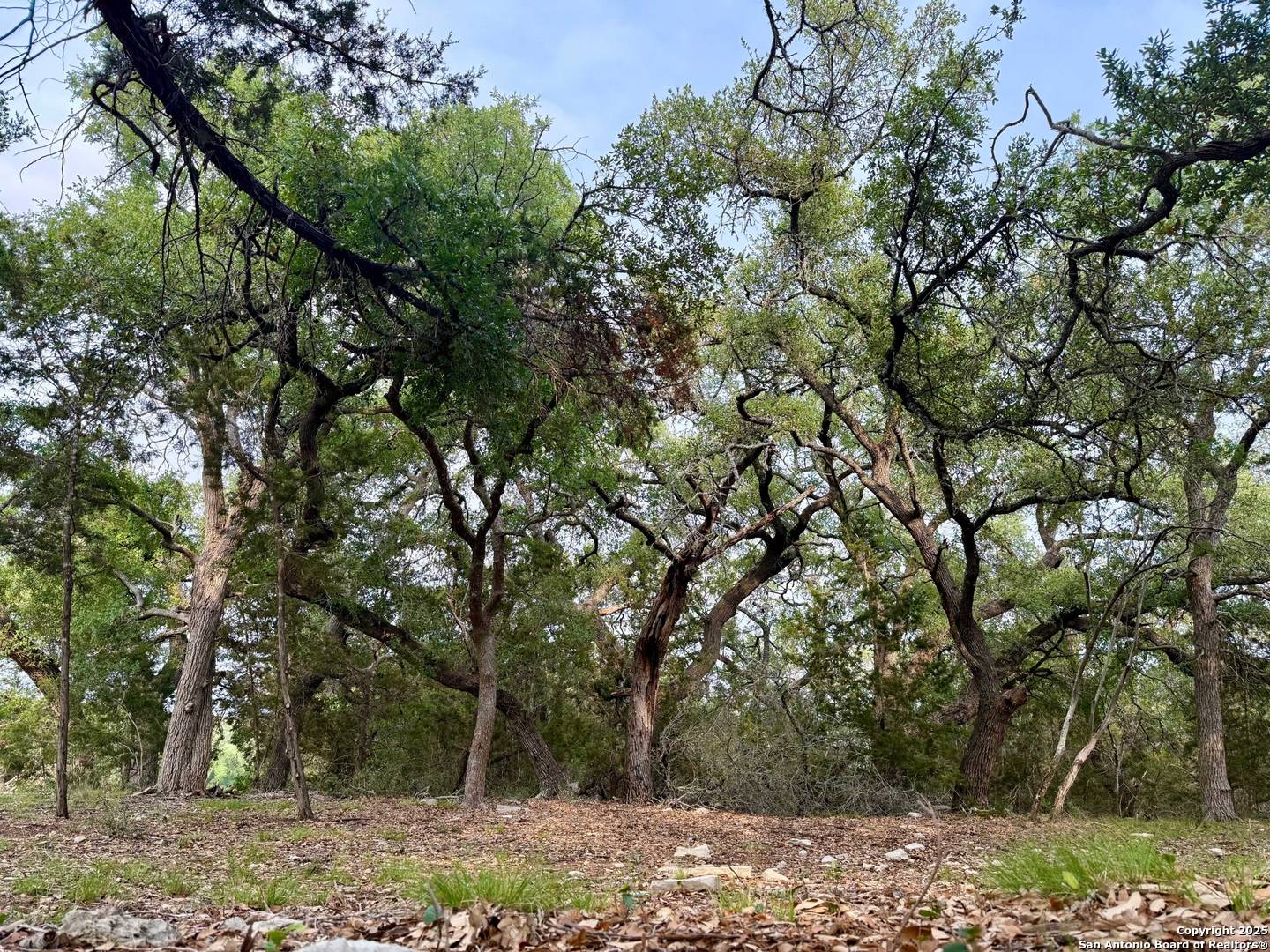 Fischer, TX 78623,254 Flanders