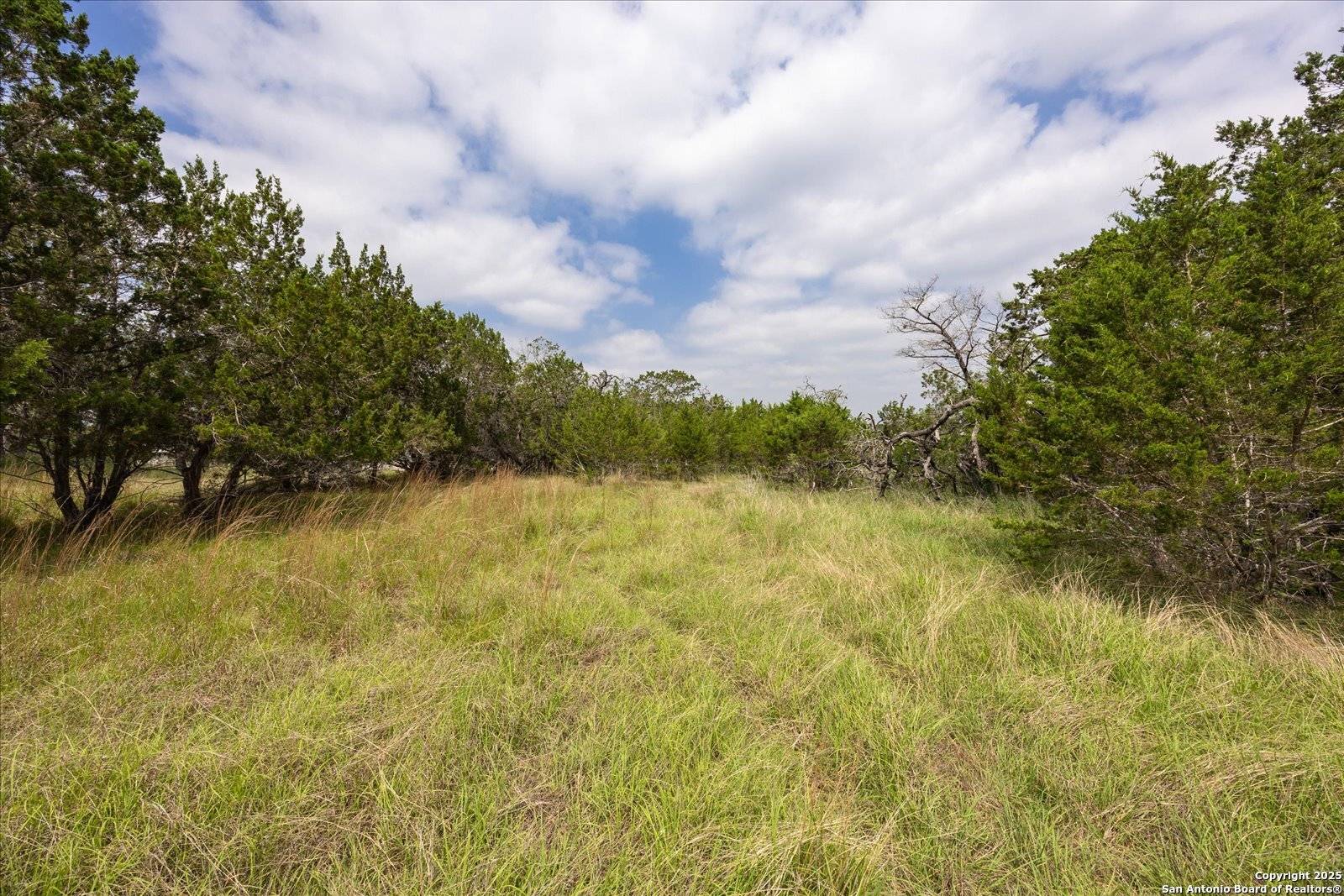 Pipe Creek, TX 78063,000 Oakridge Trail