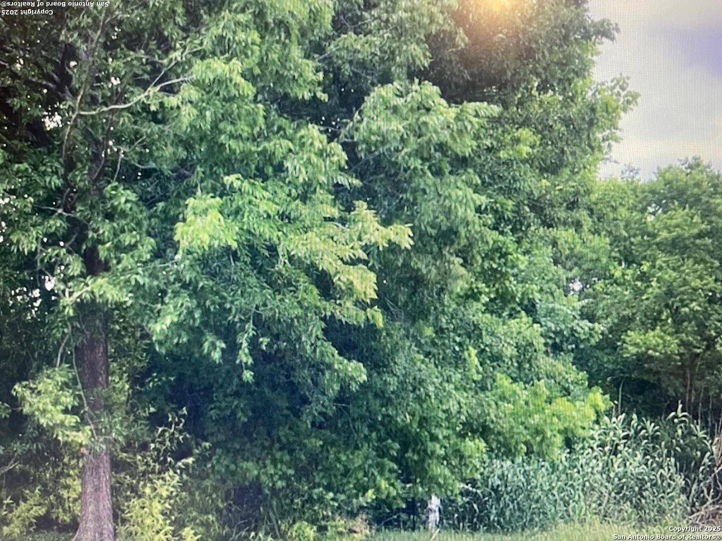 Fredericksburg, TX 78624,320 Park