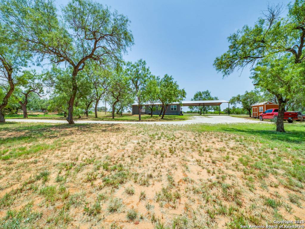 Bigfoot, TX 78005,1271 Sandbranch