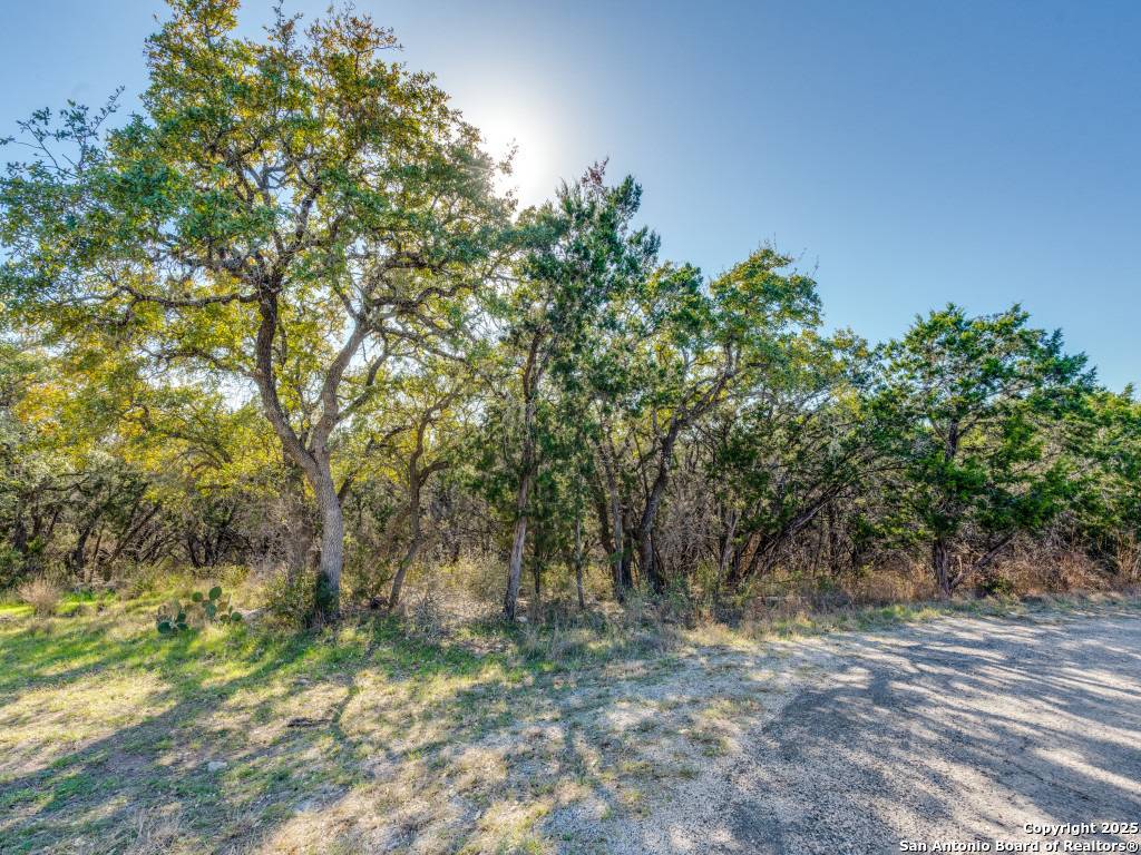 Spring Branch, TX 78070,223 Lakeview