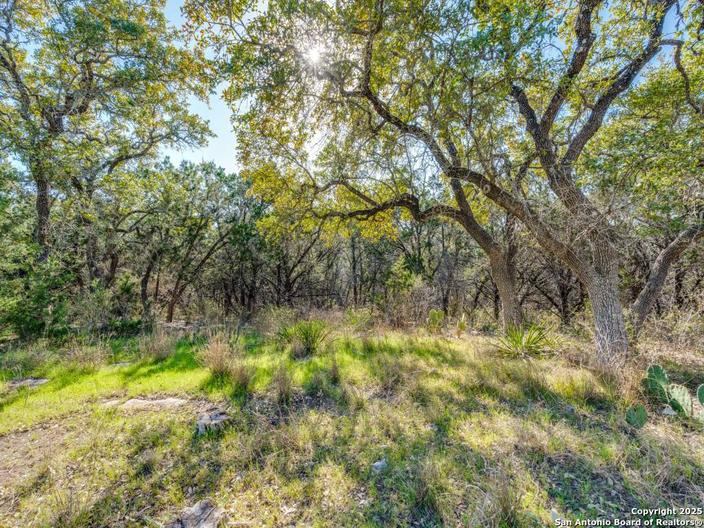 Spring Branch, TX 78070,223 Lakeview