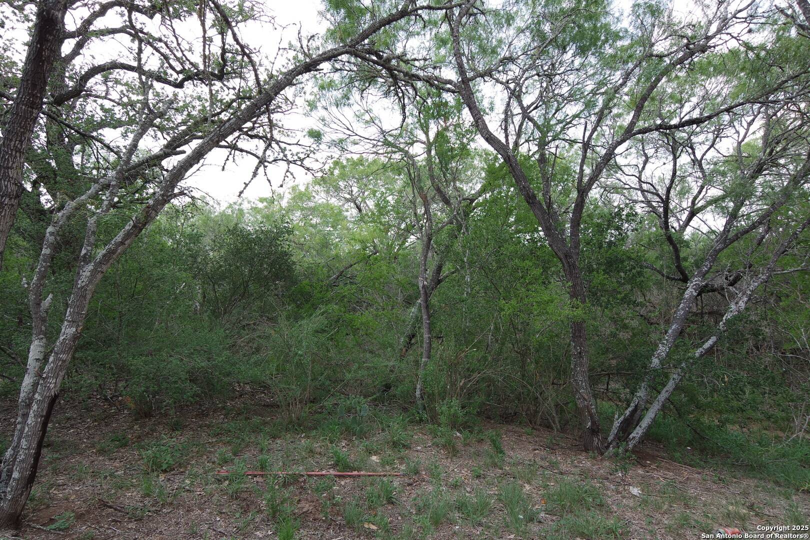 Adkins, TX 78101,9459 Crow