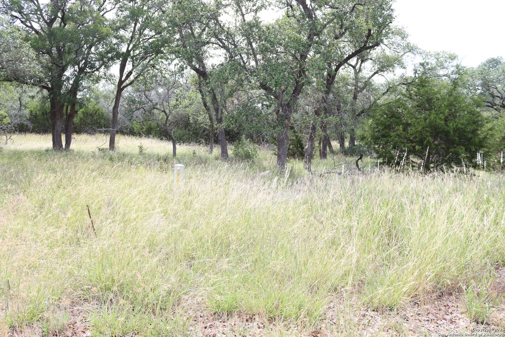 Spring Branch, TX 78070,105 Sabella