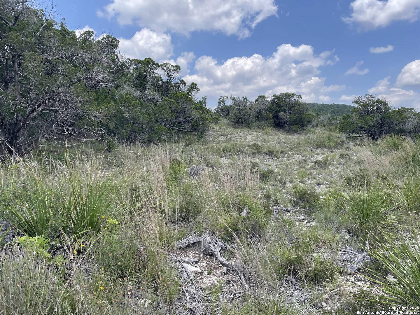 Mico, TX 78056,218 Pr 1748