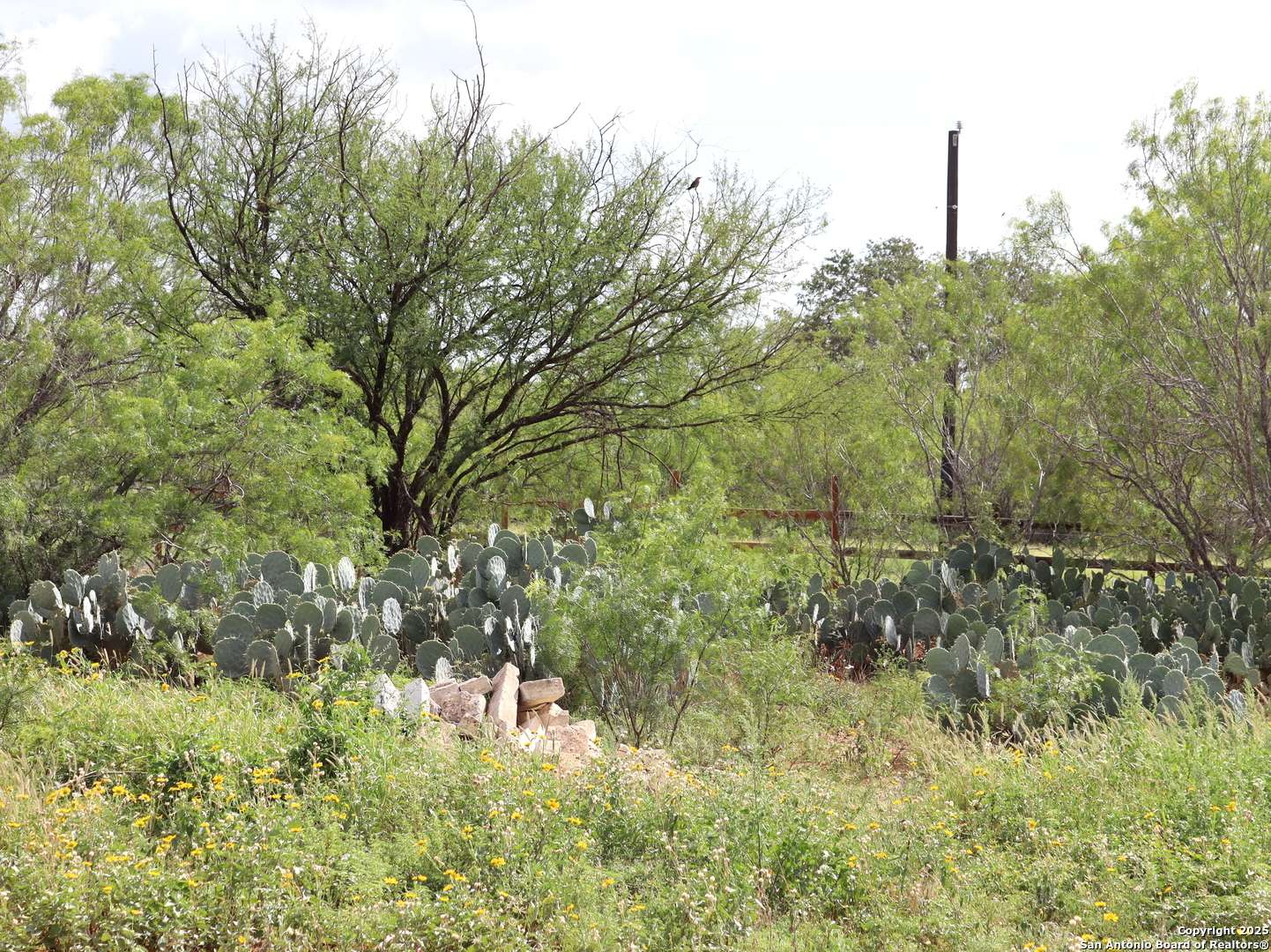 Devine, TX 78016,111 County Road 2660