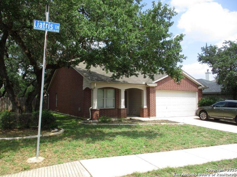 San Antonio, TX 78259,20326 Liatris