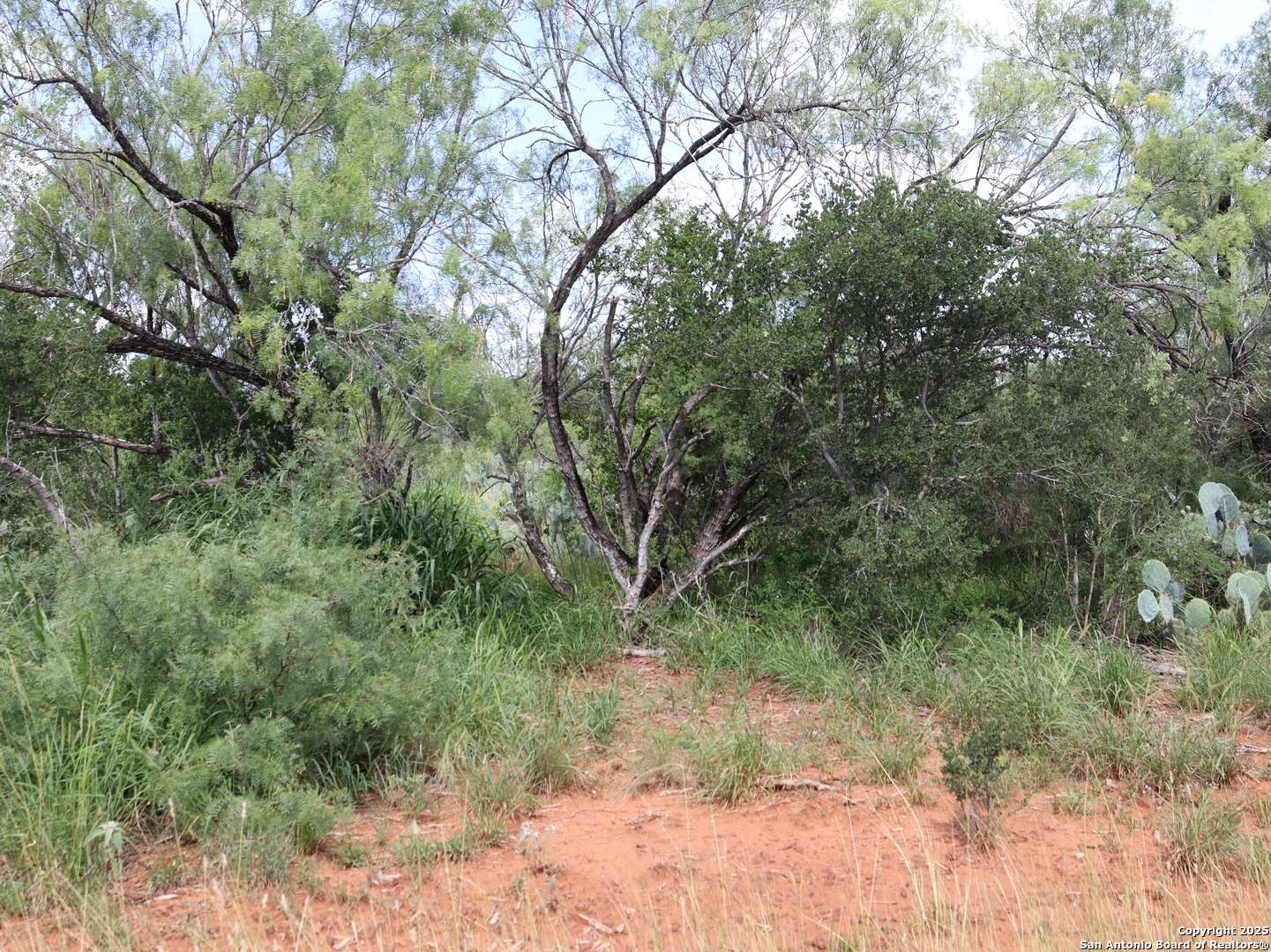 Moore, TX 78057,780 County Road 2645