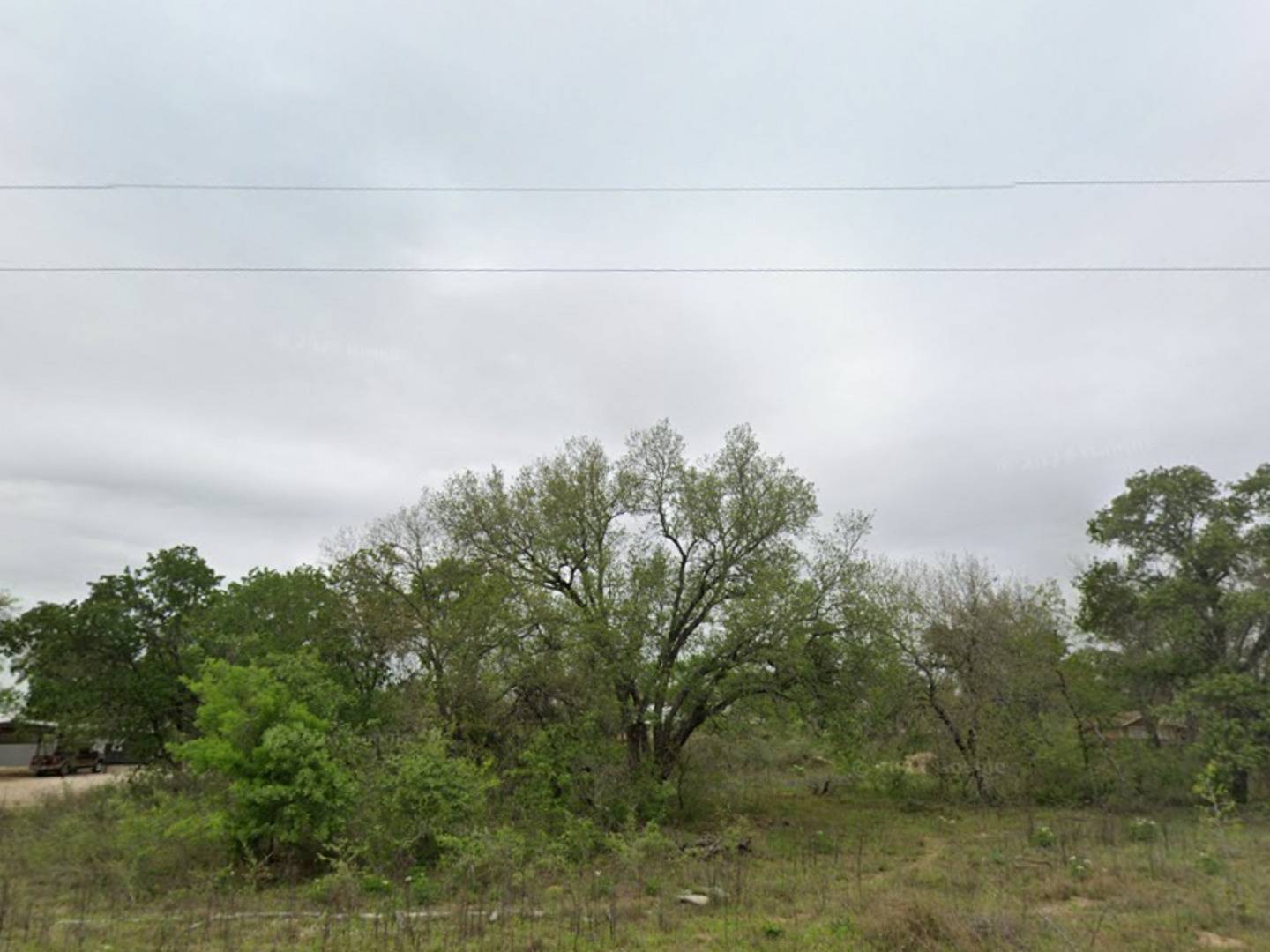 Poteet, TX 78065,48 grey fox